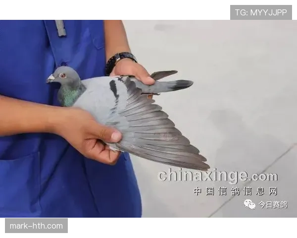 越南队定位球显威力，状态回升迎战新挑战