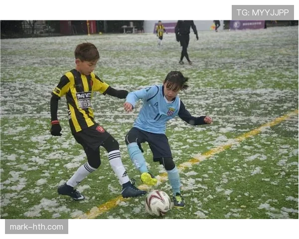 足球教练执教表现与战术执行效果分析